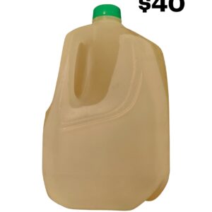 Original Gingerbeer - Gallon