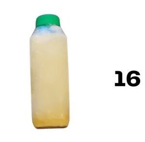 Original Gingerbeer - 16 fl.oz.